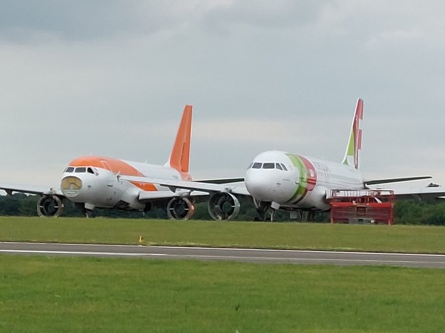 ../previews/011-2023-06-23 18.12.38.jpg.medium.jpeg